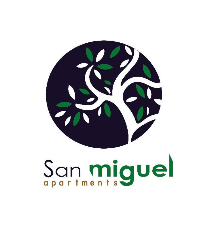 San Miguel Nº1